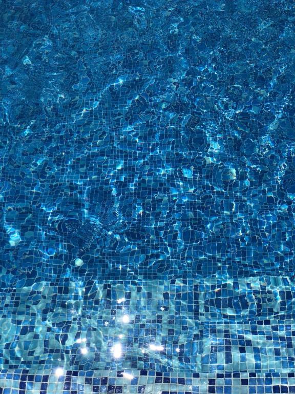 Bazén v ubytování Paradise nebo v jeho okolí