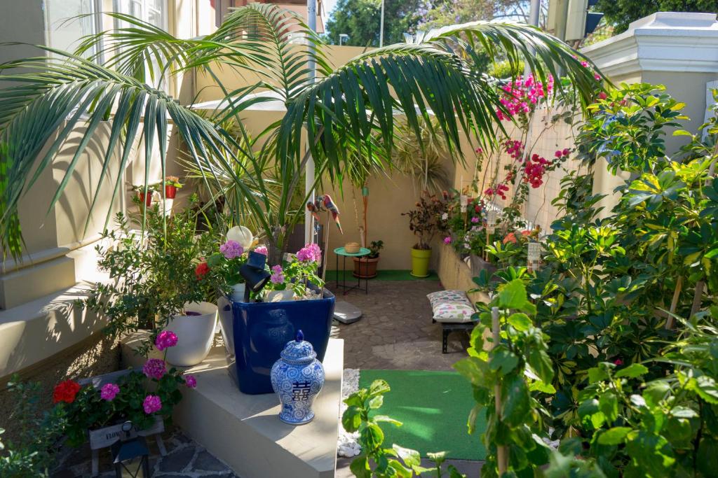 un jardín con plantas y jarrones en las escaleras en Casa Kilig en Santa Cruz de Tenerife