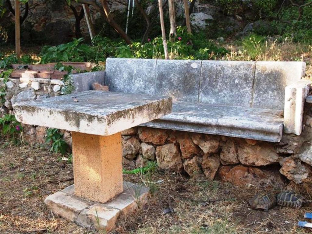 Fotografie z fotogalerie ubytování Villa Iveta v Dubrovníku