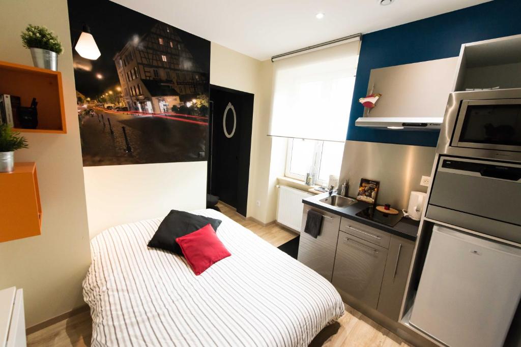 Splendide Studio Centre Colmar – photo 11
