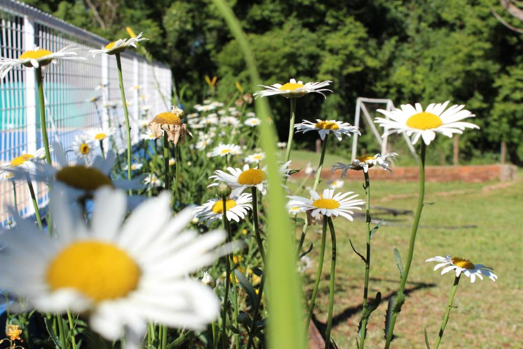 Giardino di Cabañas Oberá