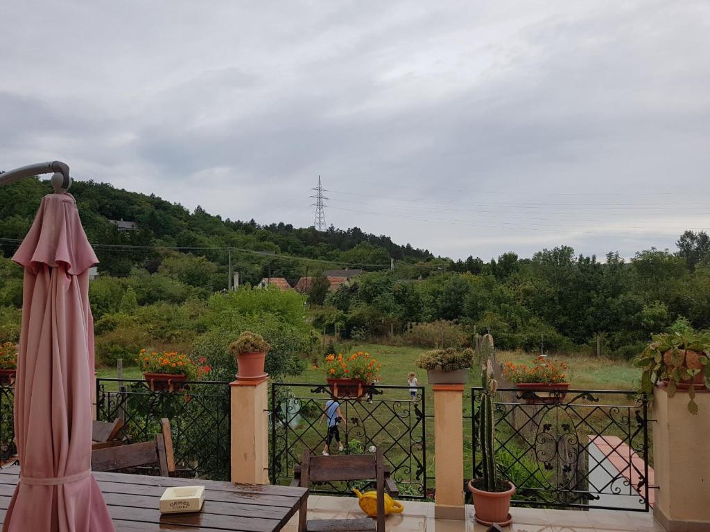 Příroda nedaleko bed and breakfast