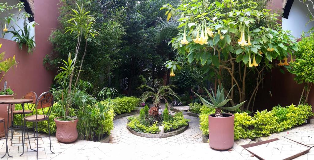um jardim com um monte de plantas e árvores em Axkan Arte Hotel em San Cristóbal de Las Casas