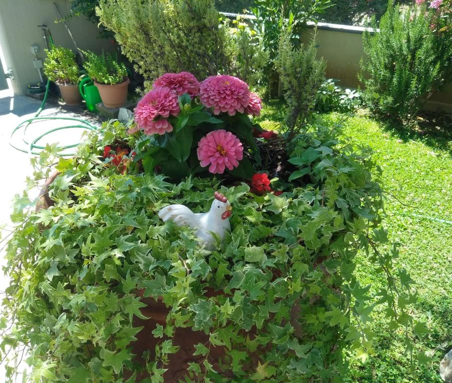 Appartamento Berlicche - Appartement Avec Terrasse