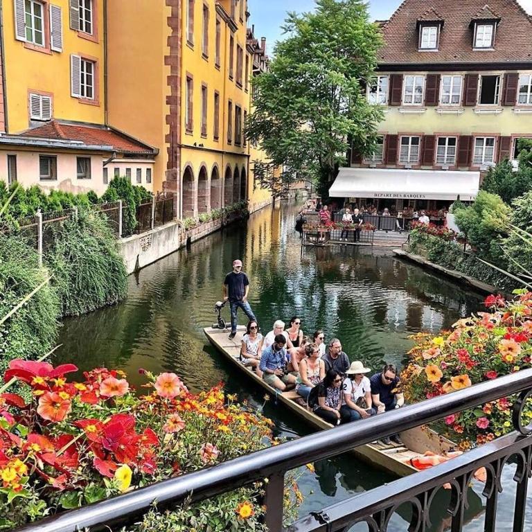 Maison avec terrasse Colmar Centre-Cottage garden terrace Center Old Town Colmar – photo 33