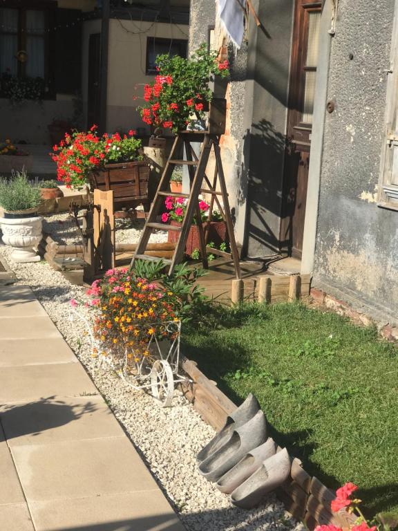 Maison avec terrasse Colmar Centre-Cottage garden terrace Center Old Town Colmar – photo 32