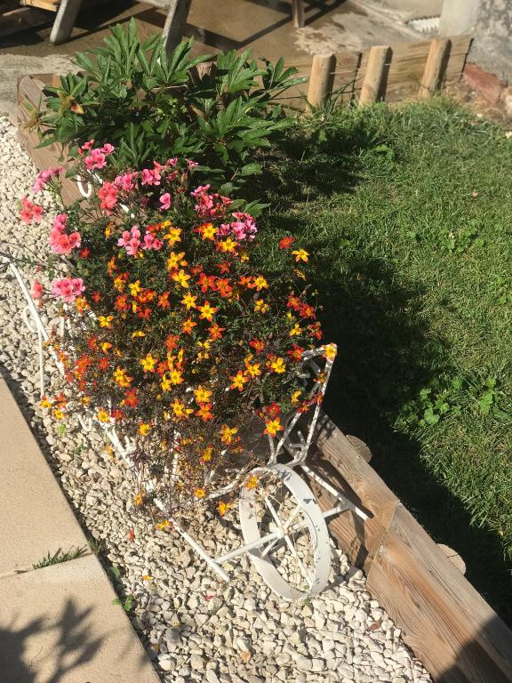 Maison avec terrasse Colmar Centre-Cottage garden terrace Center Old Town Colmar – photo 22