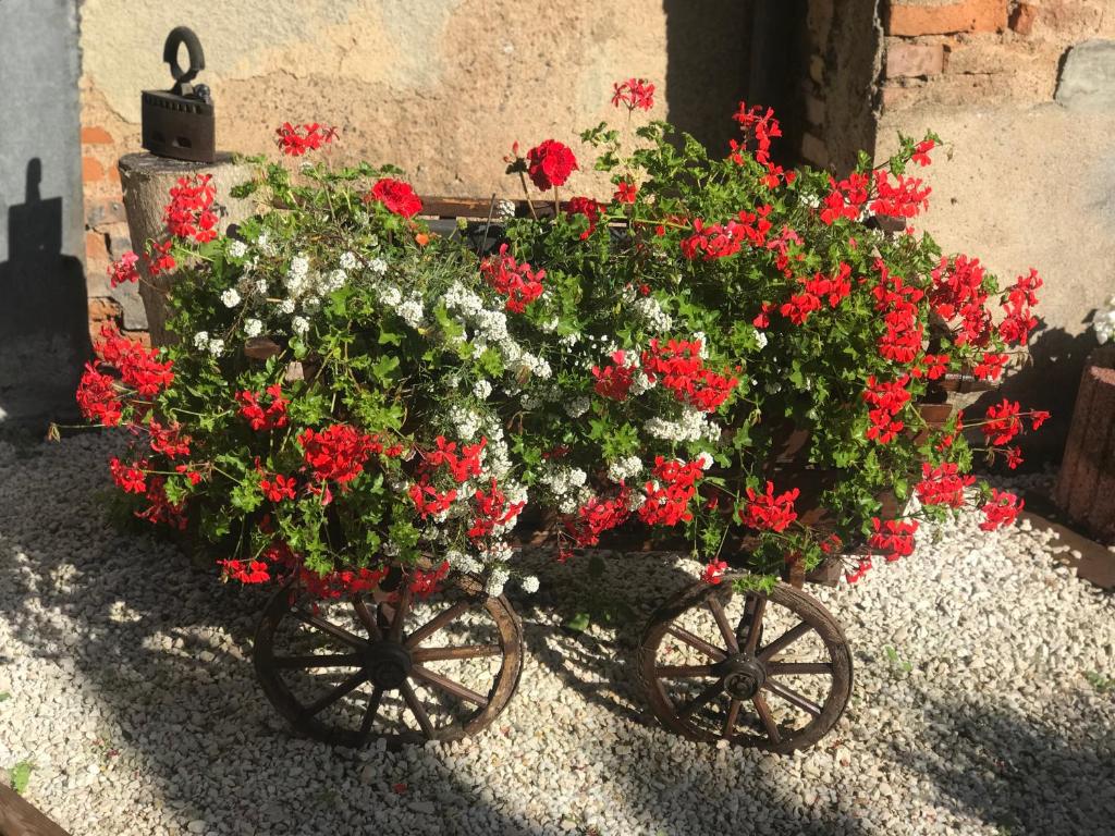 Maison avec terrasse Colmar Centre-Cottage garden terrace Center Old Town Colmar – photo 23
