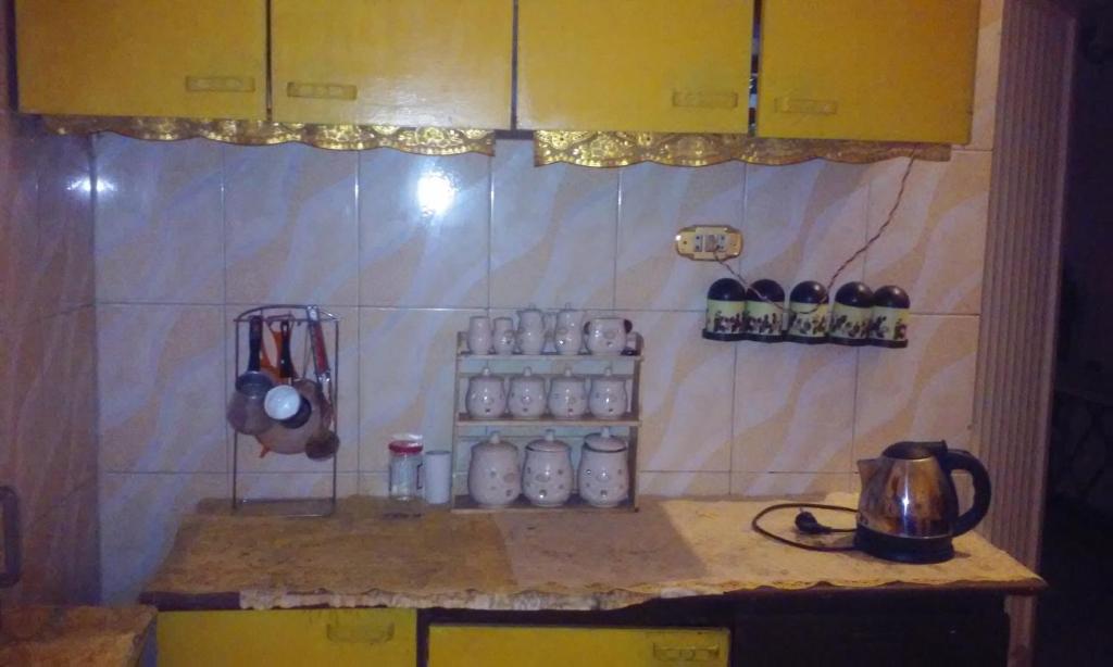 Cucina o angolo cottura di Maged Pyramids View Inn