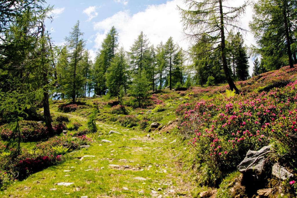 Paesaggio naturale nelle vicinanze dell'appartamento