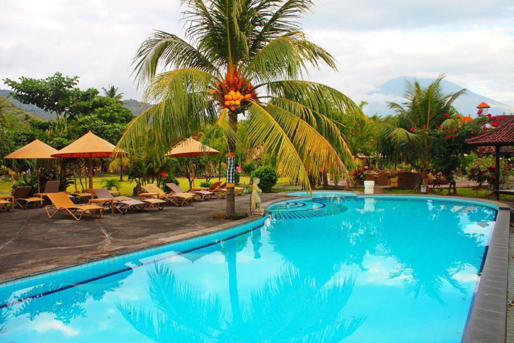 uma piscina num resort com uma palmeira e cadeiras em Hotel Uyah Amed Spa Resort em Amed