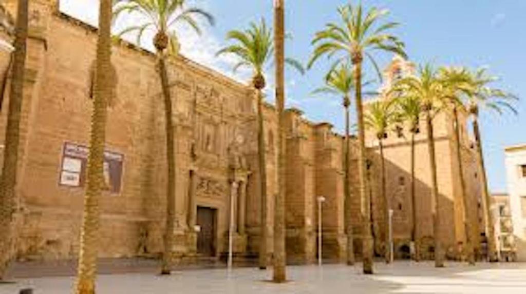 a row of palm trees in front of a building at Cathedral Palace ALMERIA in Almería