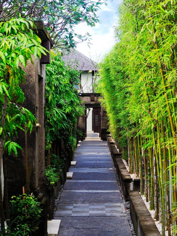 Сад в The Amala Boutique Retreat