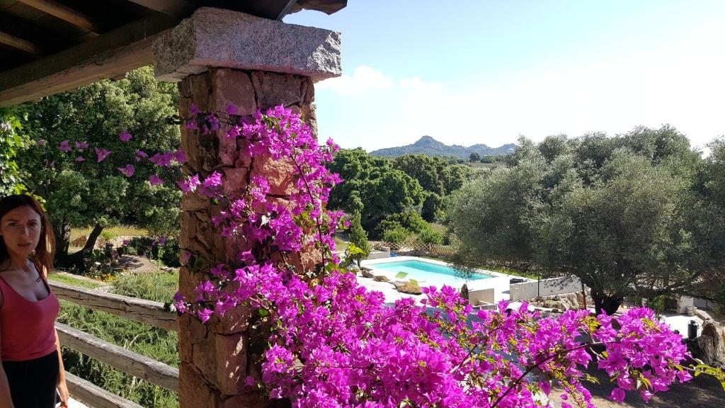 Eine Frau steht neben einer Steinmauer mit lila Blumen in der Unterkunft Agriturismo Desole in Monti