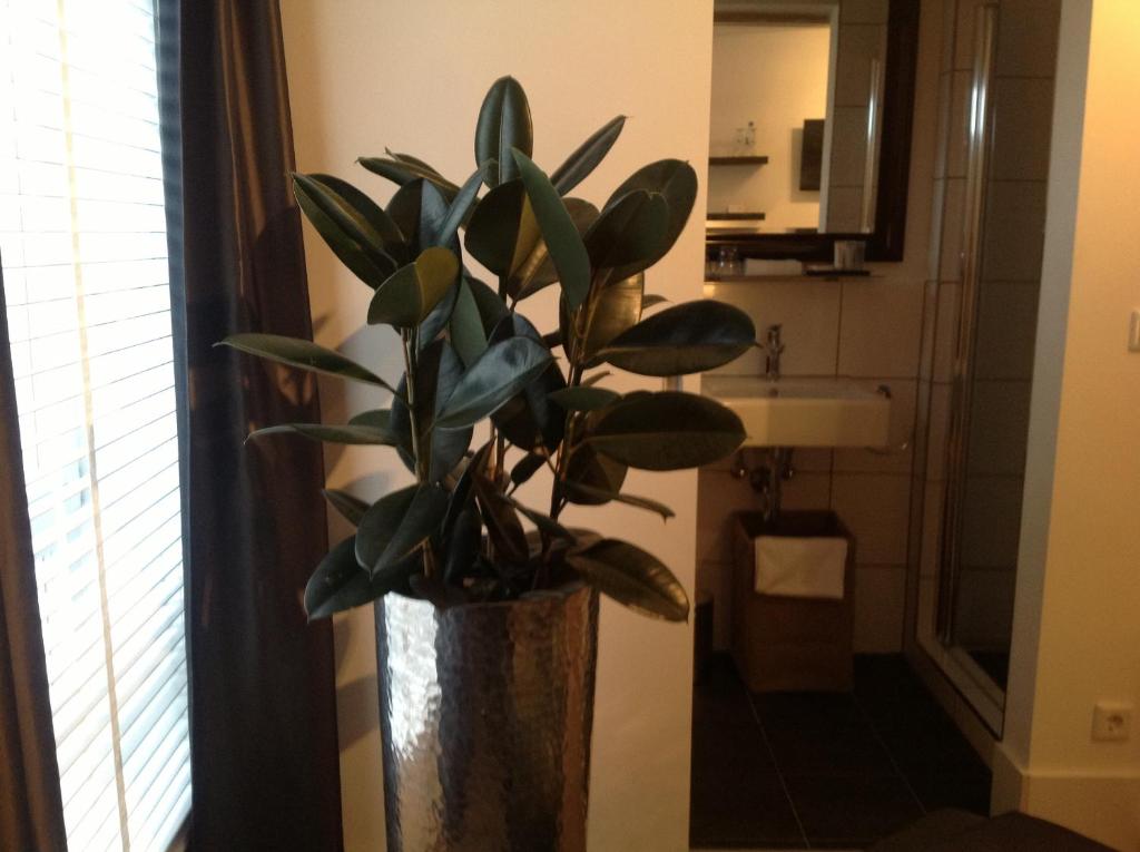 Pension Am Meerturm - 15