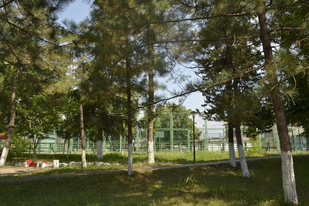Zahrada ubytování Tamaris-home