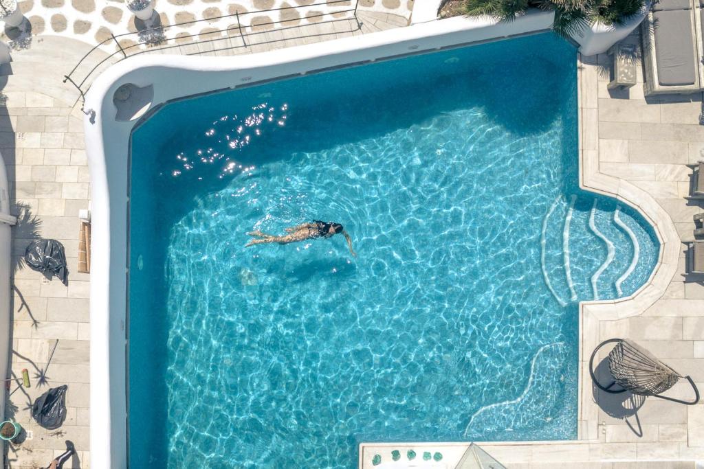 Bazén v ubytování Harmony Boutique Hotel nebo v jeho okolí