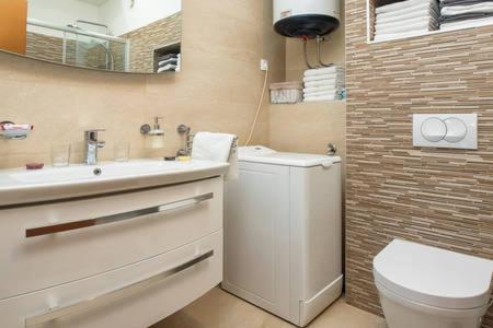 Koupelna v ubytování Apartment Bucka