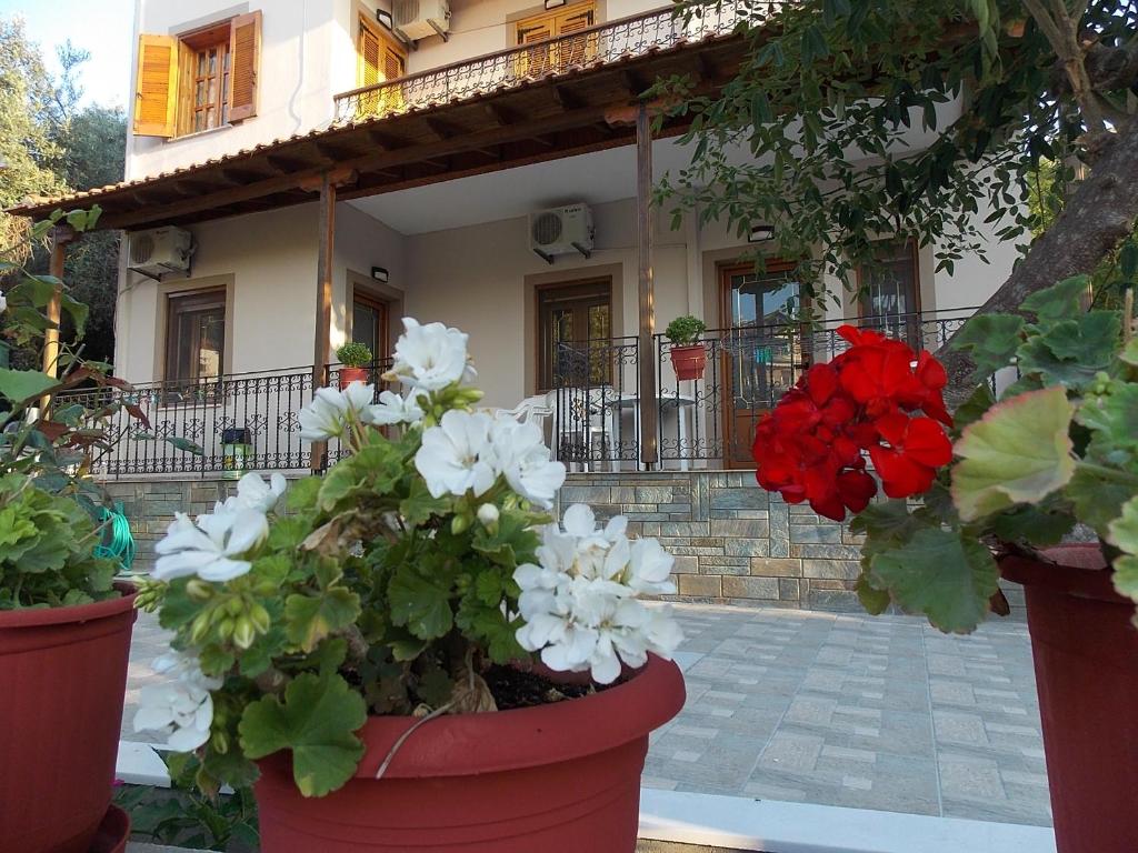 two pots of flowers in front of a house at Studios Kentia in Skala Marion