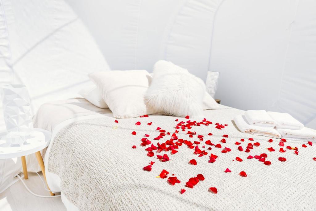 Tempat tidur dalam kamar di Somn'en Bulle