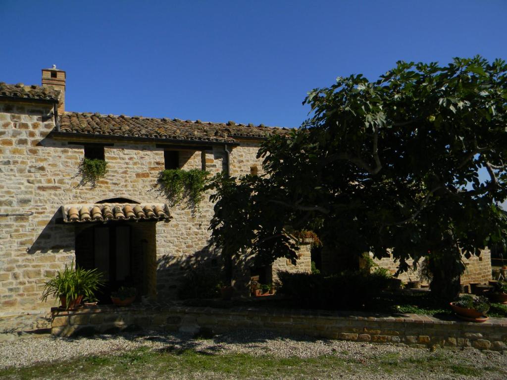 um edifício de tijolos com uma árvore em frente em Azienda Agrituristica Colle San Giorgio em Castiglione Messer Raimondo