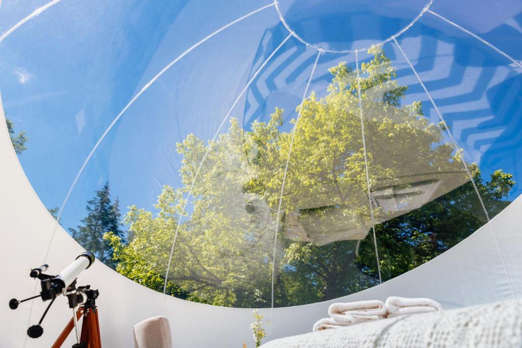 Galeri foto Somn'en Bulle di Najac