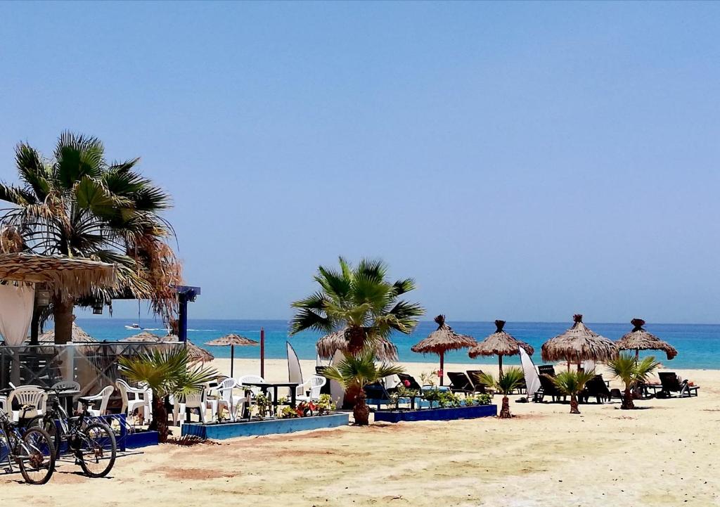 een strand met stoelen en parasols en de oceaan bij Sal Service - Beach residence in Santa Maria