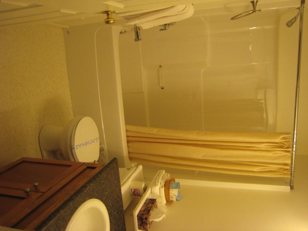 Koupelna v ubytování Best Continental Motel