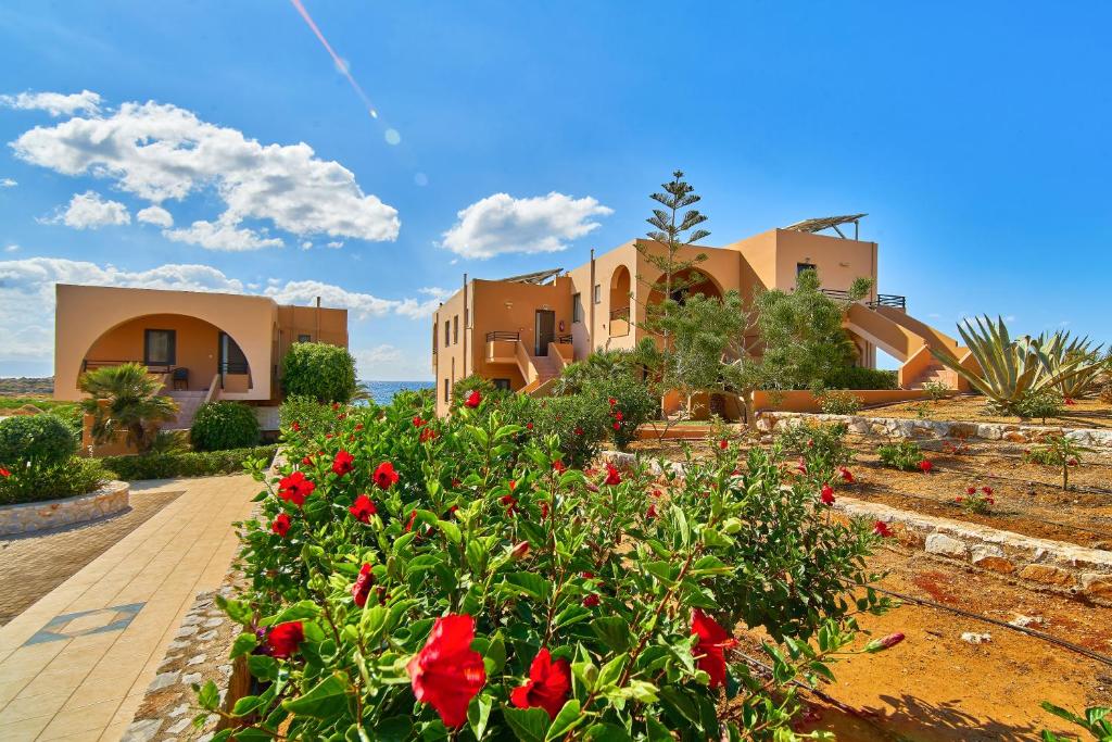 a garden with red flowers in front of a building at Nanakis Beach Apartments in Stavros