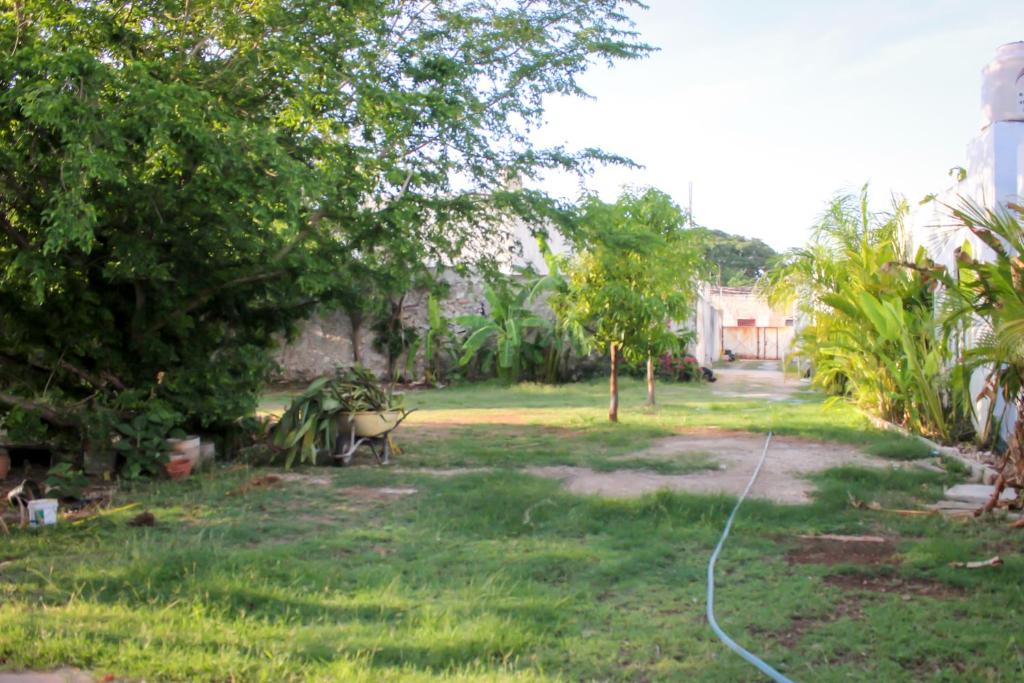 Un jardín fuera de Hostal La Ermita