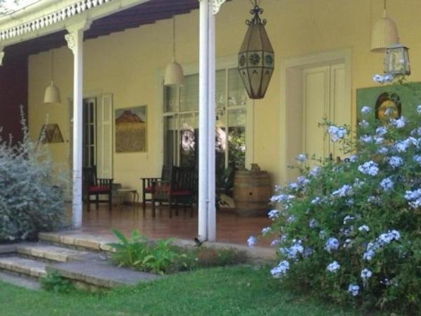 une terrasse couverte à l'avant d'une maison avec une plante aux fleurs bleues dans l'établissement Casco El Trapiche, à Godoy Cruz