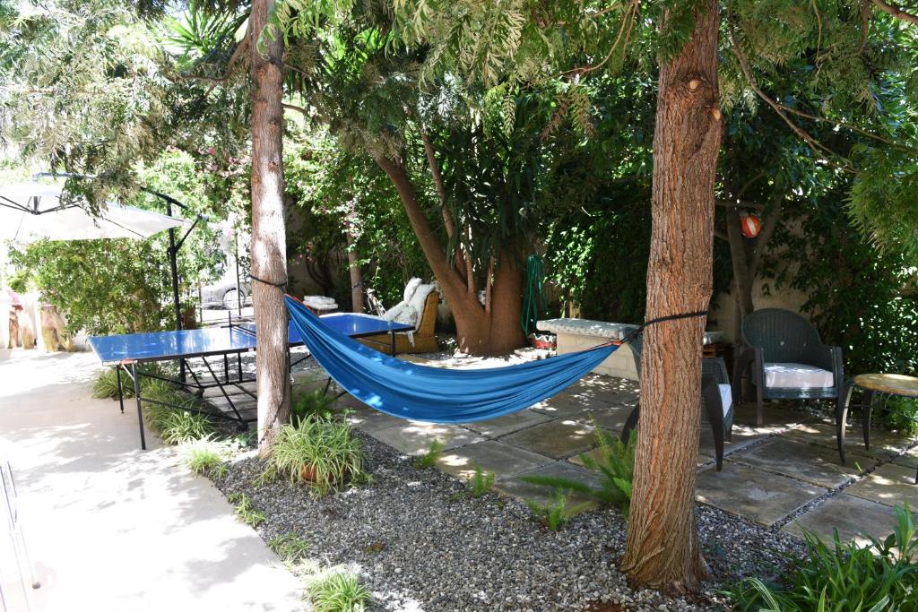 Zahrada ubytování B&B Al Vecchio Glicine