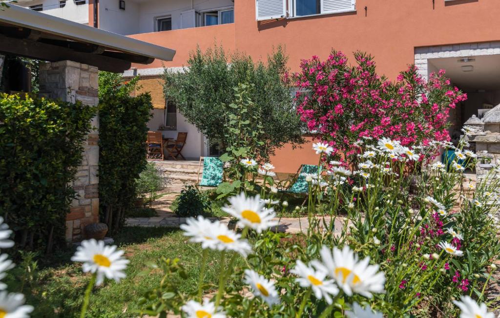 Ogród w obiekcie Istriamazing apartments