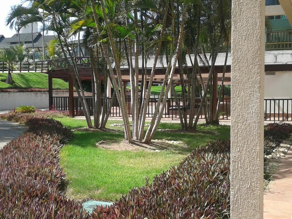  Apartamento Em Muro Alto