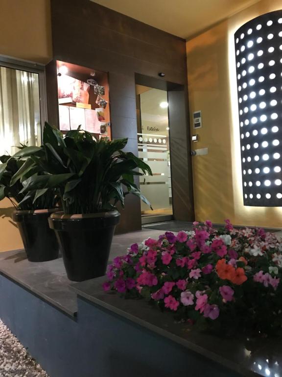 Fotografie z fotogalerie ubytování Hotel Esteba v destinaci Caldes de Malavella