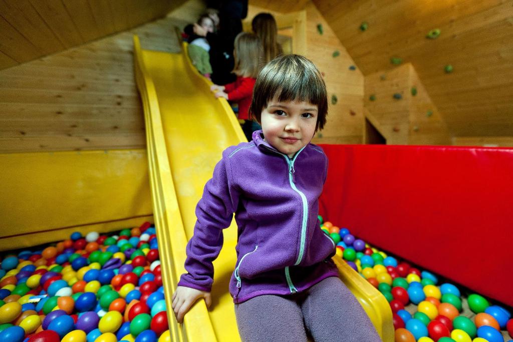 Hosté ubytování AlmDorf Tonnerhütte