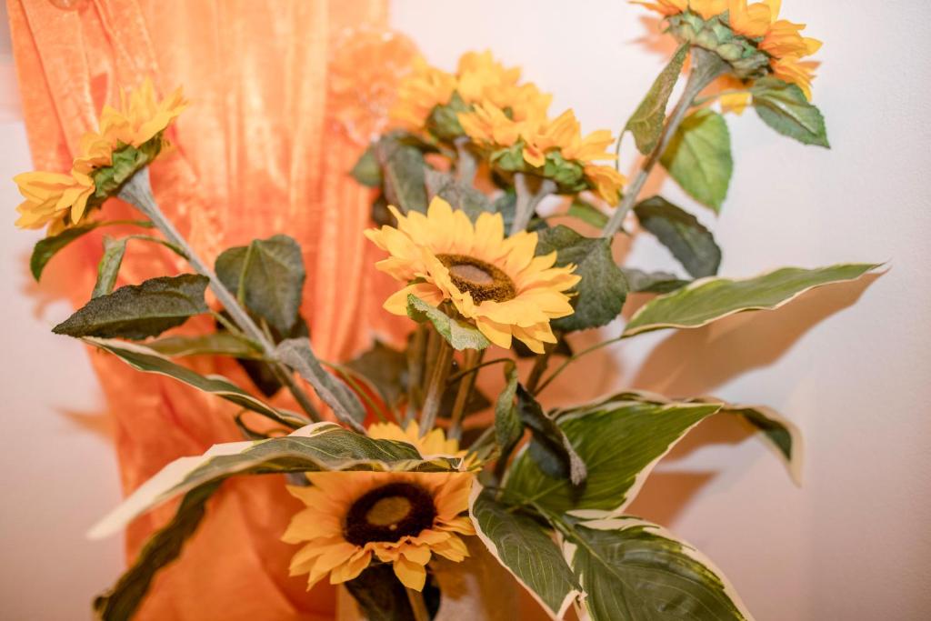 Fotografie z fotogalerie ubytování Apartment Patricia v Rabu