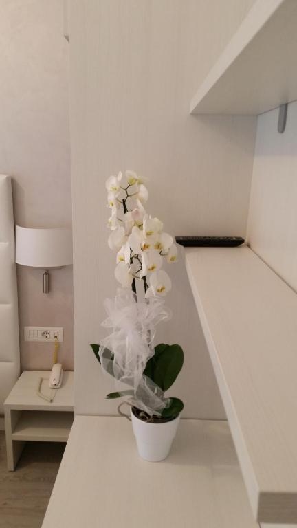 Fotografia z galérie ubytovania Hotel Acapulco v Lignano Sabbiadoro