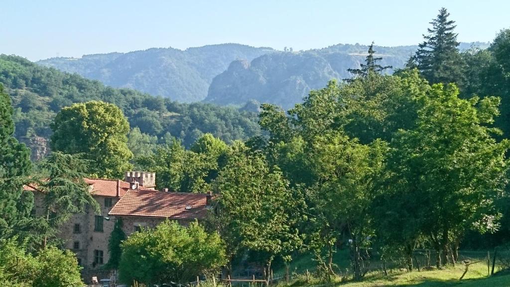 Chateau de Durianne - 家庭平房