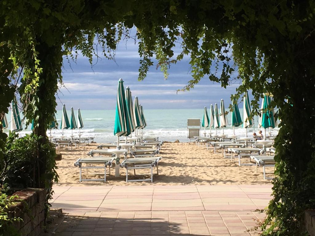Hotel Viña del Mar Pineta في ليدو دي يسولو: مجموعة من الكراسي والمظلات على الشاطئ