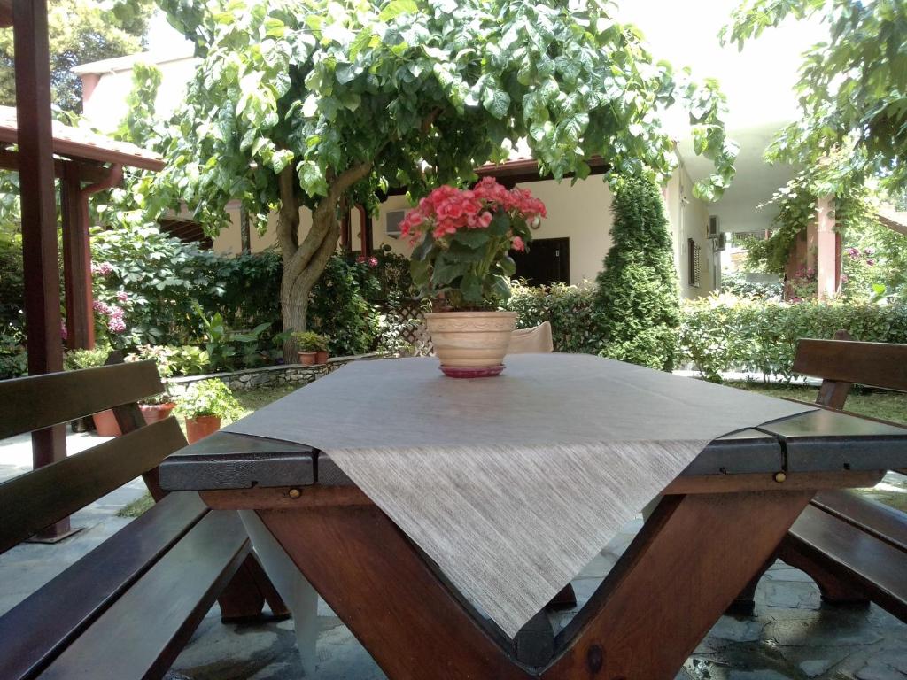 a wooden picnic table with a potted plant on it at Anastasia Chalatsogianni Rooms in Paralia Panteleimonos