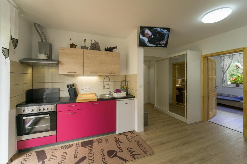 Kuchyň nebo kuchyňský kout v ubytování Aparthotel Pr' Jakapč'
