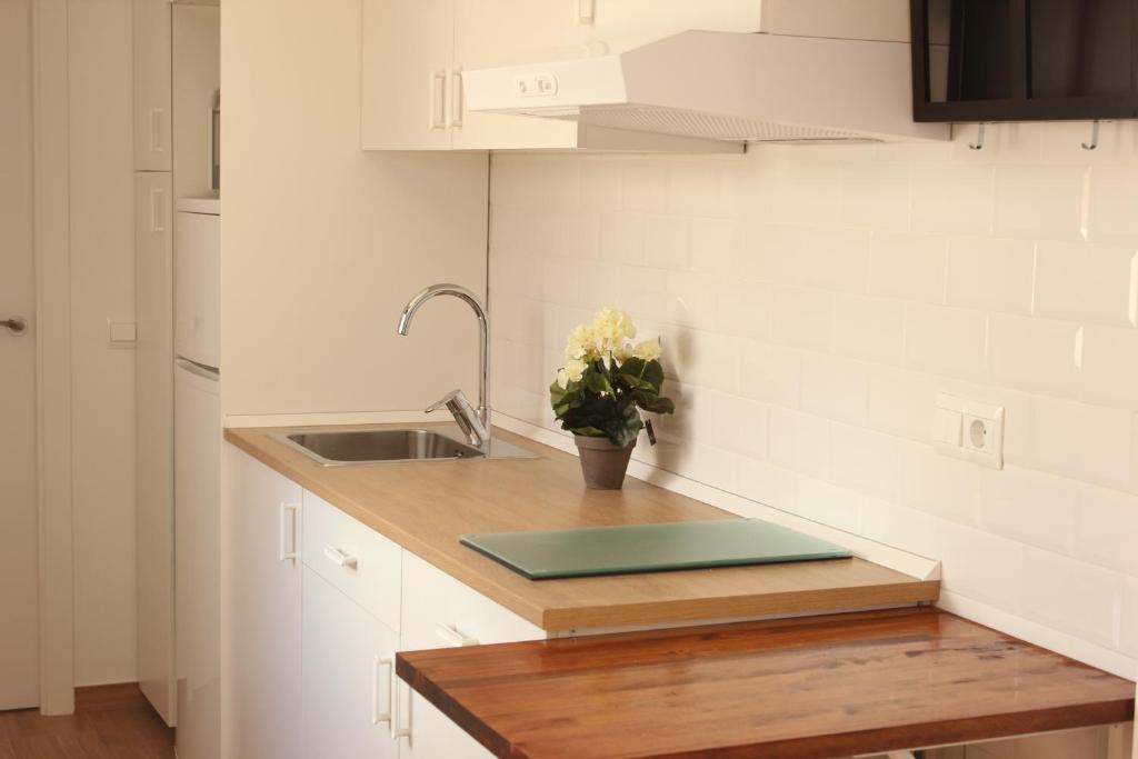 Kuchyňa alebo kuchynka v ubytovaní Malaga Center Lagunillas Apartments