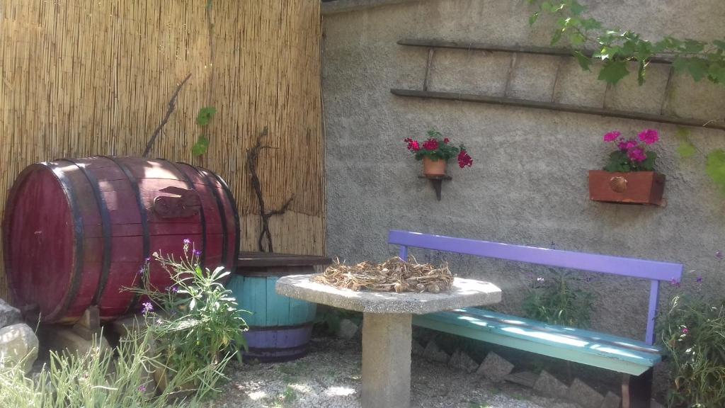 Guesthouse Familija Tariba - Appartamento