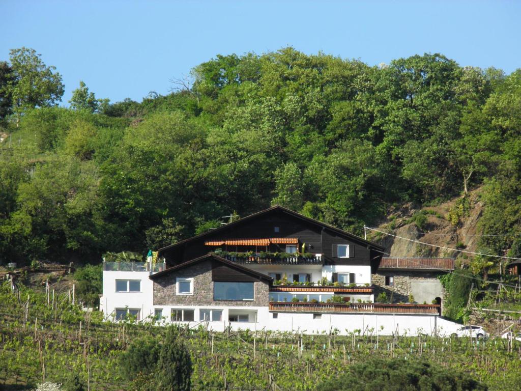 Příroda nedaleko apartmánu