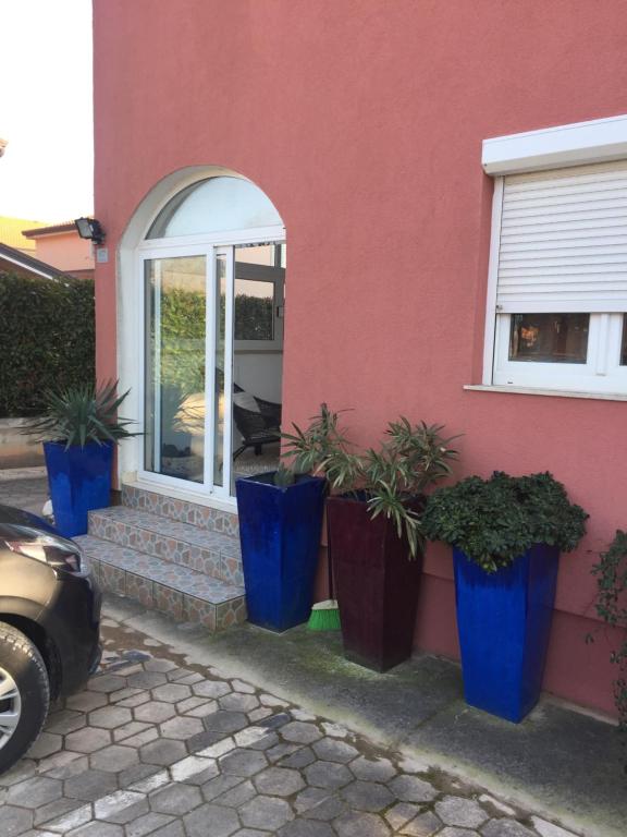 three blue plants inront of a house at Apartment F&M in Karigador