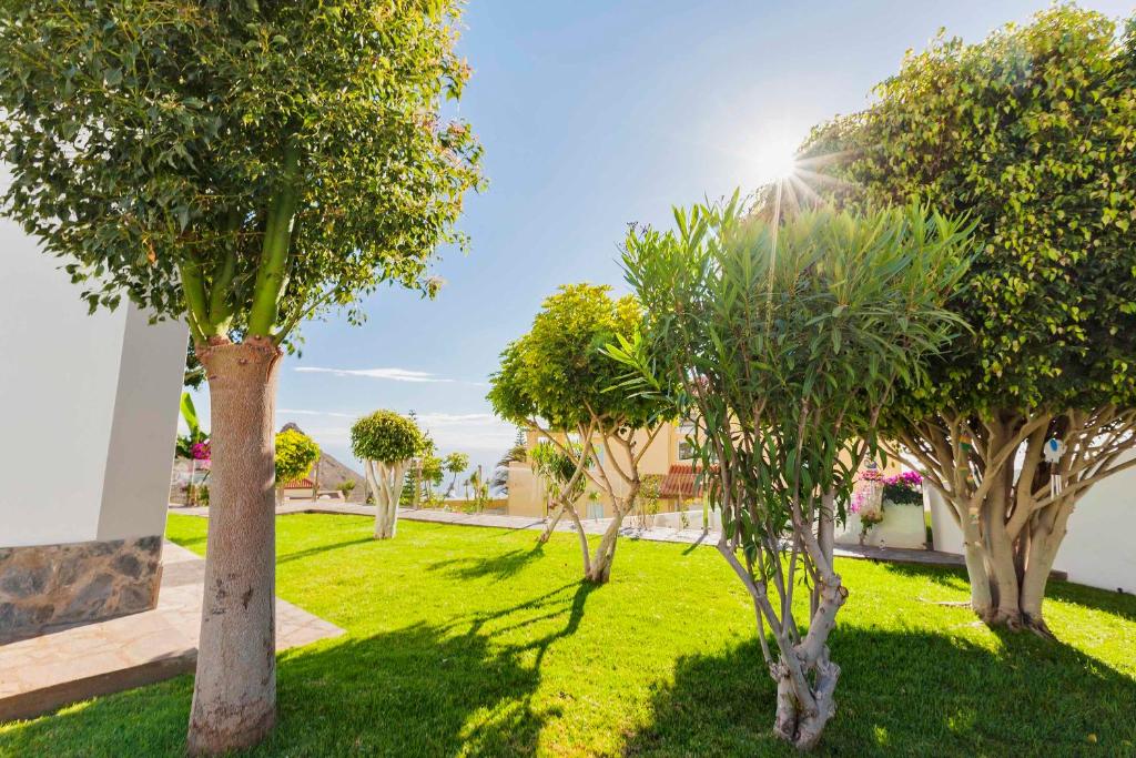 Vonkajšia záhrada v ubytovaní Villa Sara in Costa Adeje - Sara Vacation