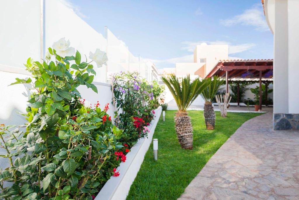 Vonkajšia záhrada v ubytovaní Villa Sara in Costa Adeje - Sara Vacation