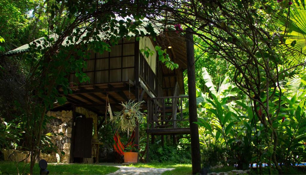 Zahrada ubytování Monte Verde Hostal