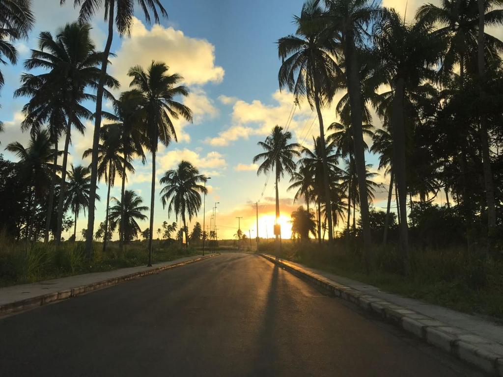  Palm Village Aqua